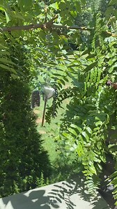 Have you ever made a windchime using a vintage metal spring?! I made this one during one of my split screens with my sweet friend, Hilde over at @Crafting at Hilde's Farmhouse! #vintagespring #windchime | My Eclectic Treasures