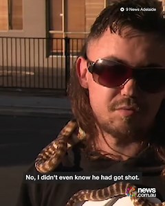 7.1K views · 29 reactions | Is the most Aussie interview ever? Mullet? Check. Pet snake? Check. | News.com.au | Facebook
