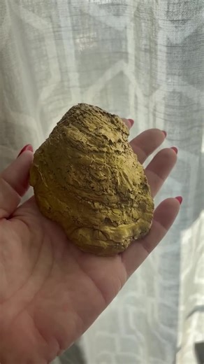 Decoupage Oyster Ring Dish: Pink Toile Coastal Jewelry Holder - Etsy