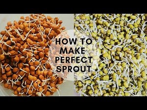 How to make sprouts at home | Perfect Sprouts recipe | Lavina Kitchen