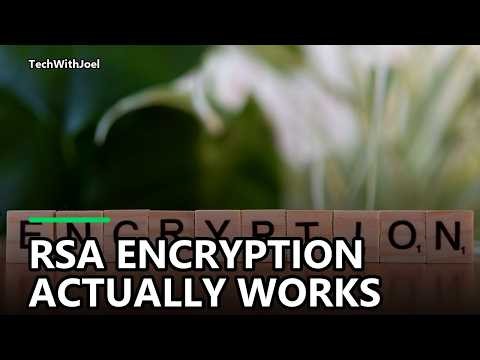 How Does Encryption and Decryption Work? #howitworks #fyp #Shorts #Tech