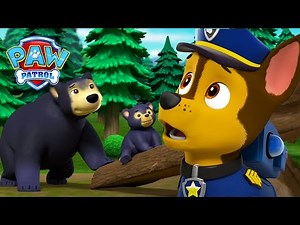 Chase redder kattekillinger fra en sulten bjørnemor | PAW Patrol | På Dansk | Tegnefilm for børn