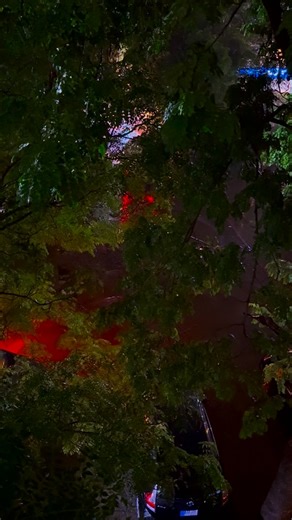 Safeer Haider on Instagram: "🩶"