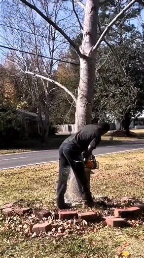 #lifehack #tools #tips | life hacks