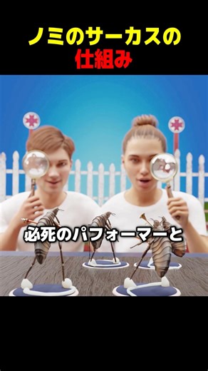 How the Flea Circus Works