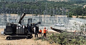 Utility Tree Services