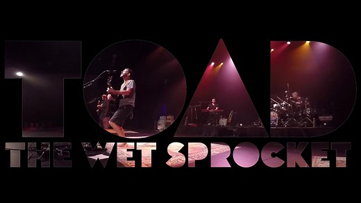 STARTING NOW: Fall Tour Tickets Limited VIP Packages On Sale Now 💎 https://toadthewetsprocket.com/on-tour/ #StartingNow #ttws #TTWS2021 #LiveMusic | Toad the Wet Sprocket
