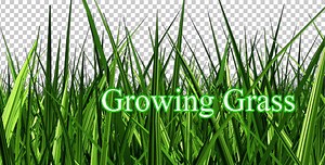 Growing Grass