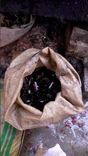 Recycling Syrup Bottles for Reuse