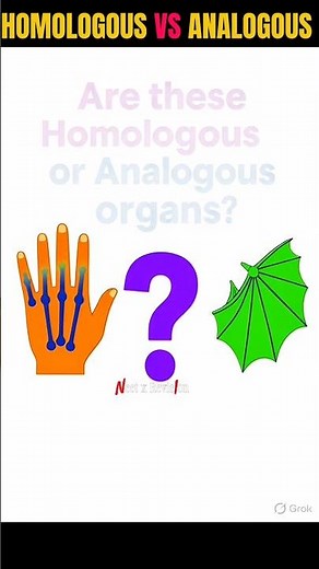 Homologous vs Analogous Explain || Evolution class 12 one shot