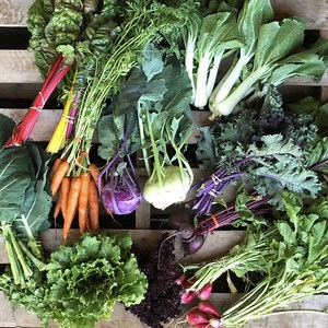 Local Farm CSA in WA | WA Farm Share | Find a Local WA CSA
