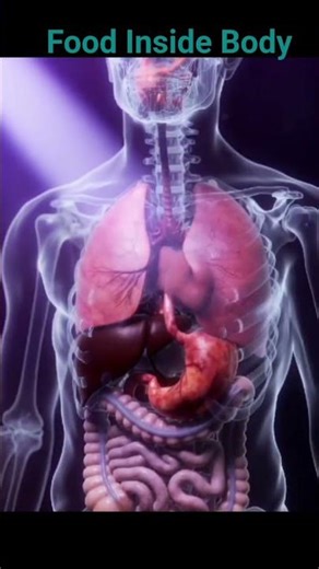 🫀 Stomach Cancer Explained | 3D Medical Animation Awareness