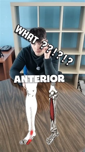 tendinopatia tibial anterior #tendoninjury #tendons #tendonitis #tibia #dolor #ejercicio #consejos