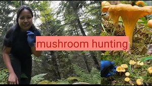 Mushroom hunting😍 full video nasa Y.T na😃 | Mayan