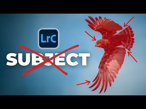 Your Lightroom Subject Masks Aren’t Working (Here’s Why)