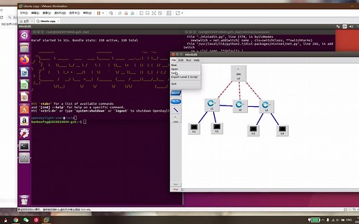 SDN交换机 opendaylight流表自定义