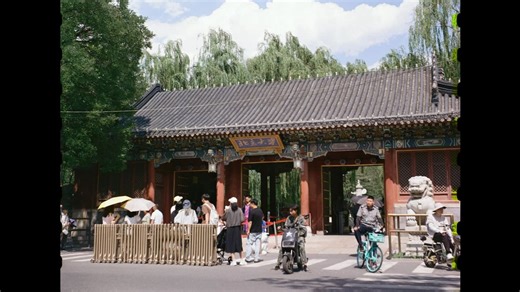 【胶片日记】20240706_柯达5203-50D电影彩负120mm