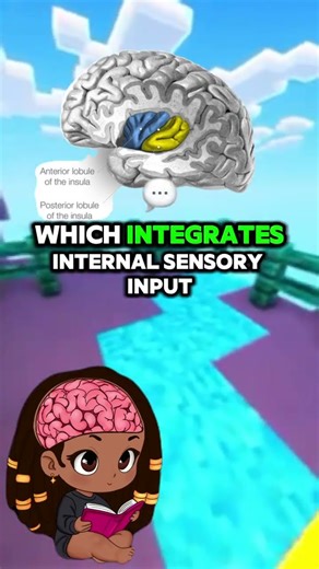 Neuroscience behind interoceptive problems in autism