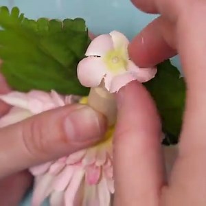 2.5M views · 526 reactions | These little flower fairies are so...