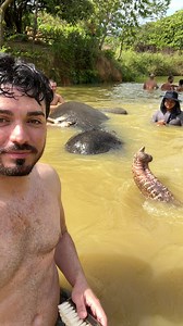 40K views · 123 reactions | Elephant living it’s best life #nature #wildlife #travel #traveler #travelagency #life #lifestyle #influencer | Original Videos from Adrian Lomeli | Facebook