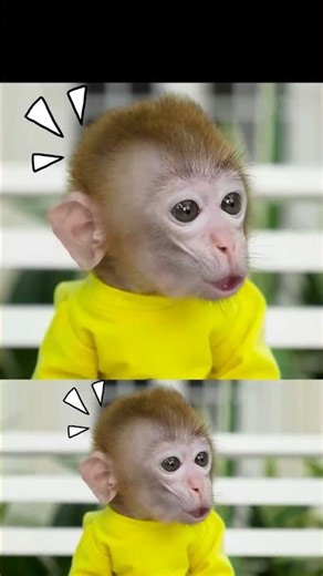 Monkey Baby Shark | Nursery Rhymes & Kids Songs |Bobby Kids Songs