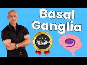 Basal Ganglia