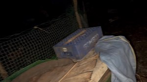 Allen Gregory Escalante Salvanera on Reels