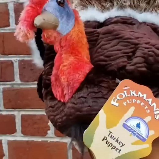 Enjoy your family and friends gatherings tomorrow. 💗 . . . #puppetlove #Folkmanis #turkeyday | Folkmanis Puppets