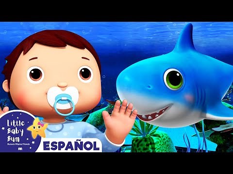 Baile del Bebé Tiburón - Canciones Infantiles | Dibujos Animados | Little Baby Bum Latino