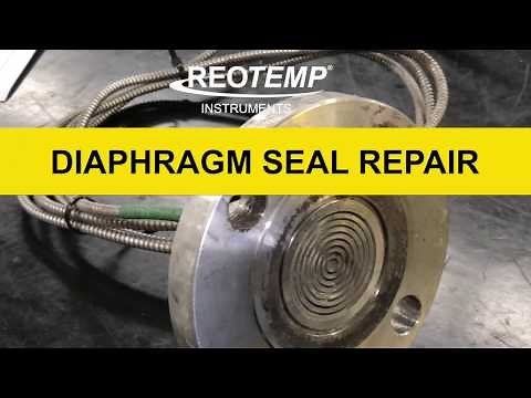 REOTEMP Diaphragm Seal Repair