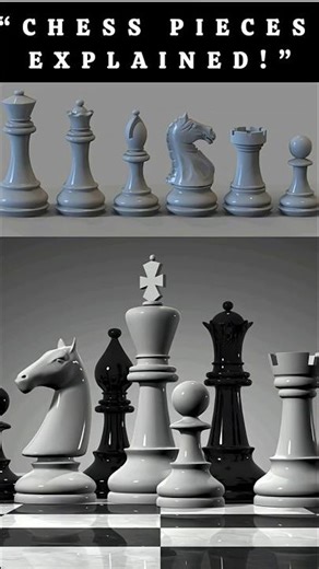 How Each Chess Piece Moves in 20 Seconds..