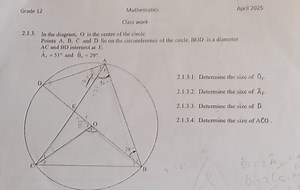 Grade 12MathematicsApril 2025Class work2.1.3. In the diagr... | Filo