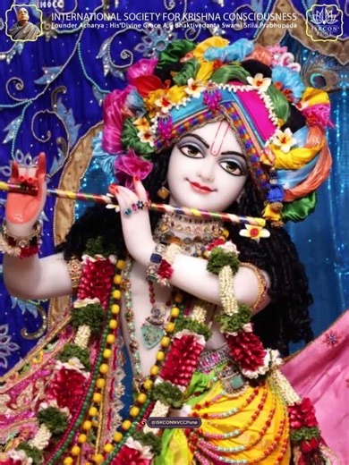 Today's Darshan | 14th May 2026 #shortvideo #youtubeshorts @ISKCONNVCCPune