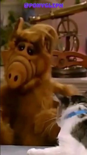 Alf quiere comer al gato I Alf #humor #cartoon #viral ##viral #seriesanimadas #cartoon