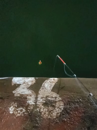 Strategi Mancing Galatama Lele yang Efektif