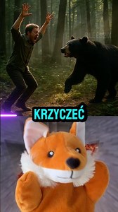 Jak przeżyć atak tych zwierząt