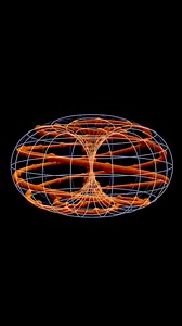 55K views · 1.3K reactions | The Torus Energy Flow, can you feel the calming meditation vibes glowing within. #natureofflowers #sacredgeometryartist #torus #meditation #energy | Natureofflowers | Facebook