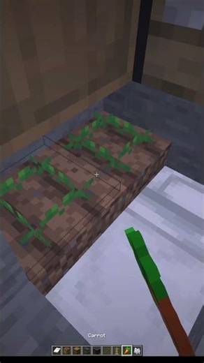 The smallest house (Minecraft)