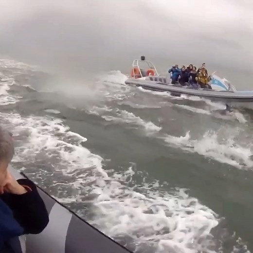 Ready for an adventure? Every Saturday in March, kids get £5 off their Rib Ride! Experience the thrill of speeding through the Menai trait and spotting amazing wildlife up close 🐬🐬 Don't miss out! Book your spot today! https://www.ribride.co.uk/en/swellies-adventure #anglesey #celebrating20years #adventuretours #northwales #visitnorthwales #specialoffer #ribtours #ribride #ynysmon #booknow #croesocymru | Rib Ride