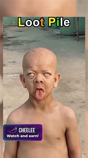 Loot Pile #88 | Meme Orcs Daily Raid #memeorc #raid #lootpile #meme #humor #funny #brutalmeme #memes