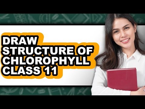 How to Draw Structure of Chlorophyll Class 11 (UPDATED)