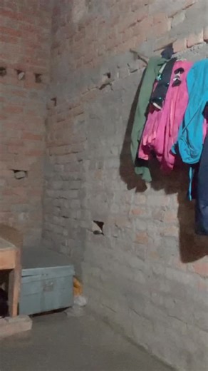 Saroj devi on Instagram: "Dhanna Wale ki Java Bhola Ho Mori Sona"