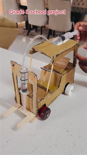 Creative Ideas for Grade 8 School Projects