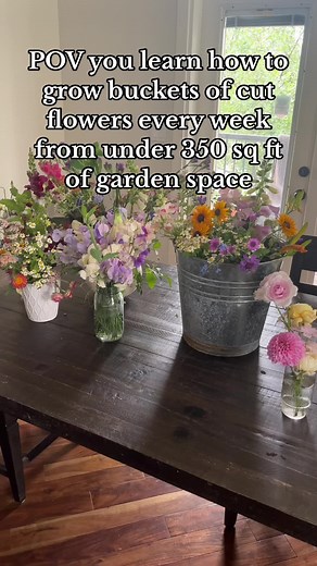 Easy Cut Flowers for Beginners: How to Grow and Maintain a Beautiful Flower Garden