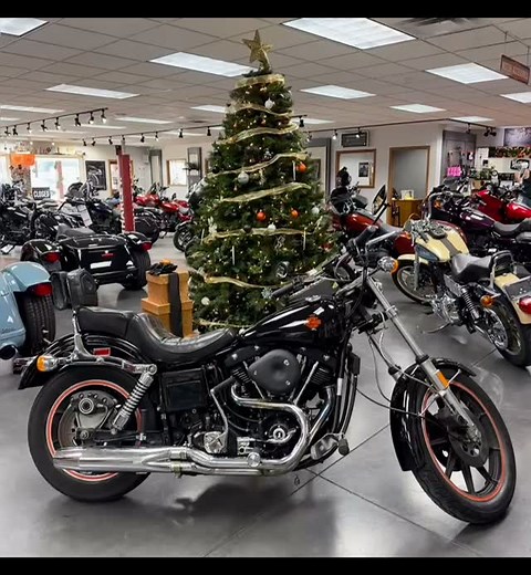 🥵 1981 Sturgis FXB 17,792 miles 1992 666/1700 Daytona FXDB 14,661 miles | Wiebler’s Harley-Davidson