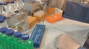 How genetic genealogy works to solve cold cases, used in recent Red Wing case