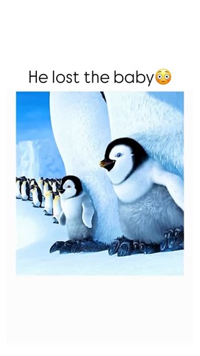 Heyyhumor |memes on Instagram: "🎬 Happy Feet (2006): In the frozen world of Antarctica, young Mumble struggles to find his place among the Emperor penguins, whose tradition of singing defines who they are. Born without a voice but gifted with extraordinary tap-dancing skills, Mumble must navigate a colony that doesn’t understand his difference. Alongside his parents, Memphis and Norma Jean, and friends like Gloria and the wise Lovelace, Mumble faces both natural dangers and predators that threa