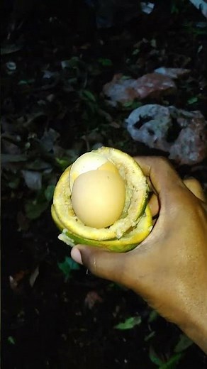 How to Make Nutrient-Rich Compost Using Kitchen Waste