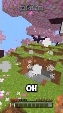 Minecraft But every block is RANDOM! 😱🎲