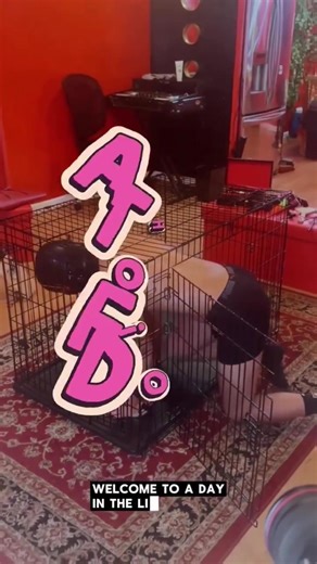 fendom dog human in cage